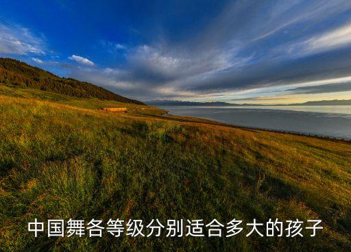 舞蹈考级十级几岁,舞蹈一级考级舞蹈视频大全