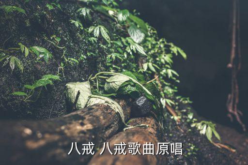 八戒八戒小沈阳舞蹈下载,小沈阳八戒八戒舞蹈视频