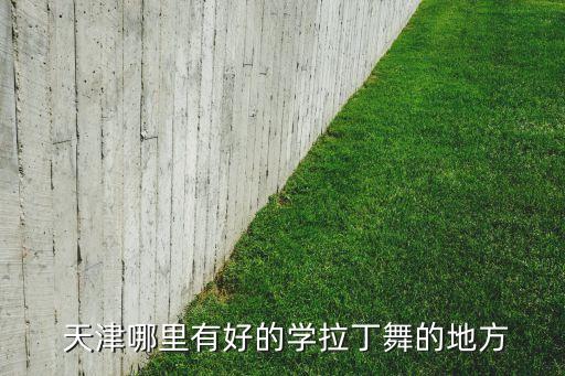 天津哪有学舞蹈培训班,天津比较好的舞蹈培训班