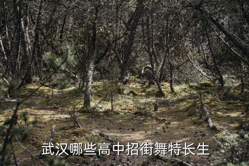 武汉贝尔舞蹈培训学校,艺贝尔艺术培训学校