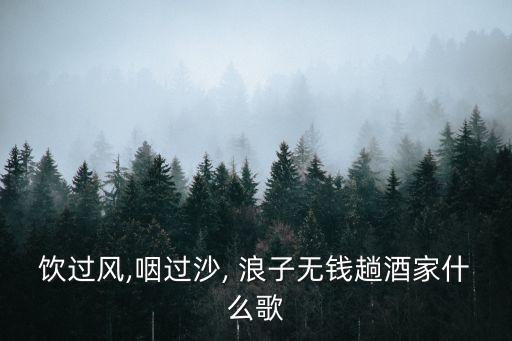 浪子闲话舞蹈背面完整版