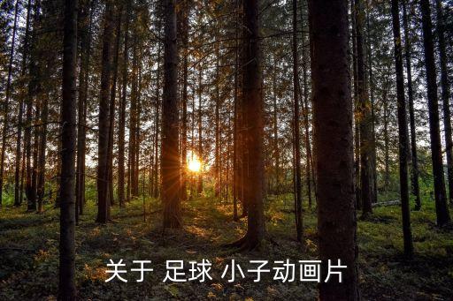 幼儿足球小子舞蹈视频,足球小子舞蹈串词