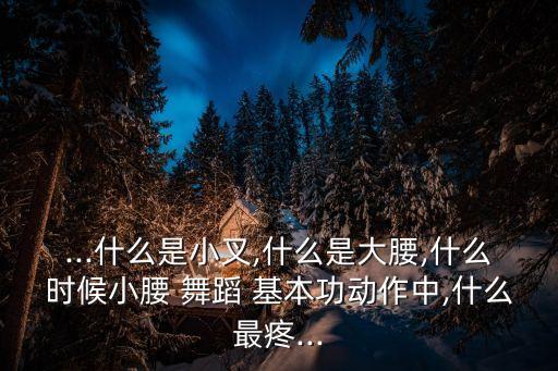 舞蹈大叉的基本功,舞蹈基本功竖叉怎么练