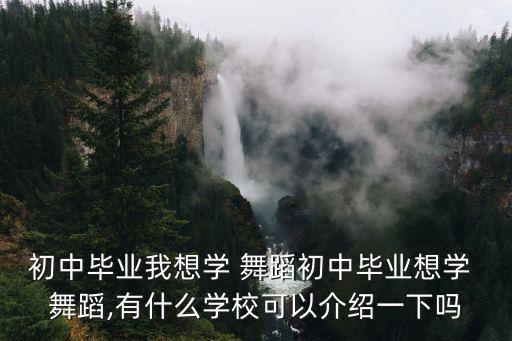 北京哪个中学舞蹈最牛,重庆哪个中学招舞蹈特长生