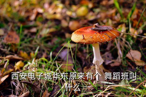 西安舞城舞蹈工作室,成都舞邦舞蹈工作室地址