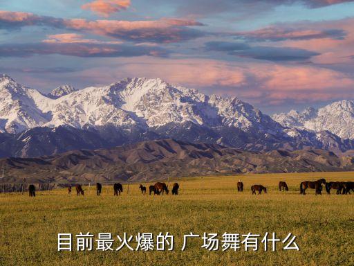 广场舞舞蹈诚信之歌,洗依歌广场舞舞蹈教学