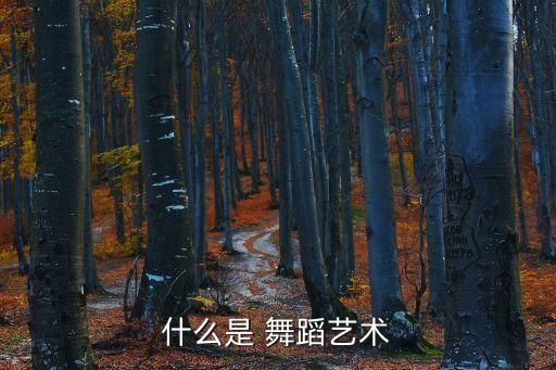 什么叫舞蹈要素