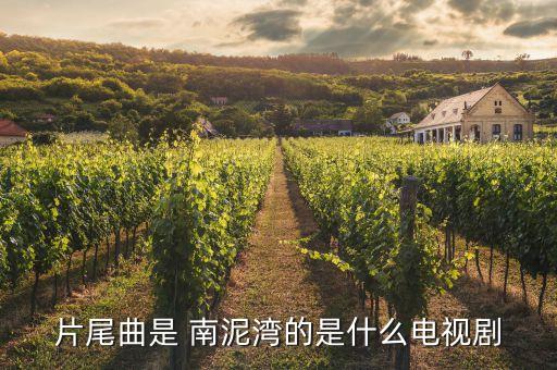 舞蹈屋南泥湾视频,舞蹈南泥湾花篮舞第一名