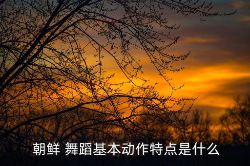 朝鲜舞蹈一对一教学,熊莹朝鲜舞蹈教学视频