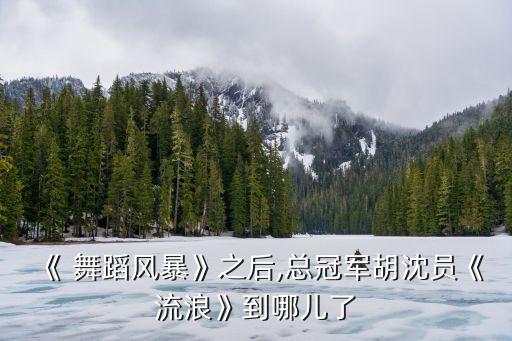 2016年上海舞蹈比赛,上海舞蹈比赛一等奖