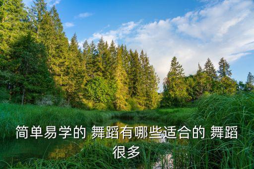 成年学什么舞蹈最快,自学跳舞的最好软件