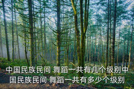 考级舞9级全部舞蹈视频,九级考级舞蹈小城谣