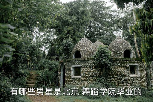 朱晗中国好舞蹈哥哥
