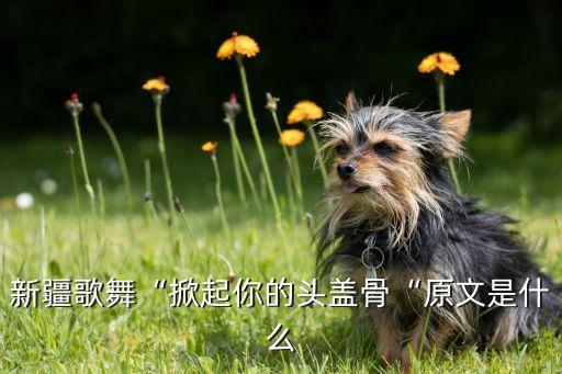 乌兹别克族舞蹈动作