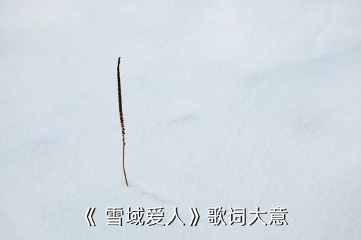 应子广场舞蹈雪域爱人员