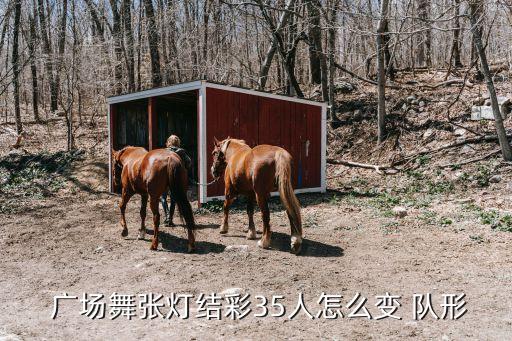 刘荣广场舞变队形舞蹈6,手绢舞变队形一等奖舞蹈