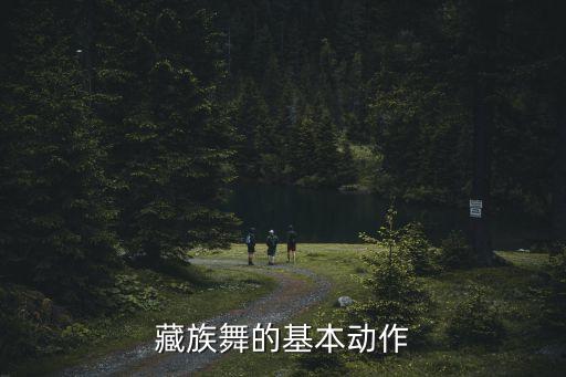 舞蹈步伐 后踢步做法,16步舞蹈步伐
