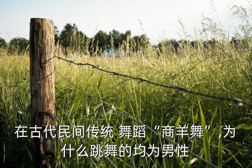 民族舞蹈男