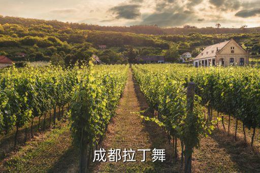 电子科大舞蹈,杭州电子科大