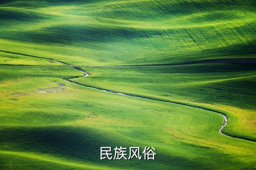 青少年傣族舞蹈,《月光下的凤尾竹》傣族舞蹈视频