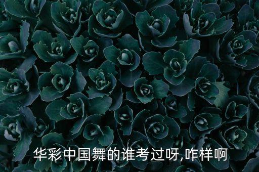 华彩中国舞蹈考级教材清香