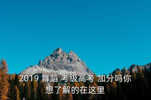 舞蹈考级升学加分,舞蹈培训机构的考级证书升学加分吗?