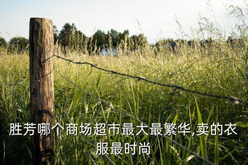 廊坊星月舞蹈队大时代