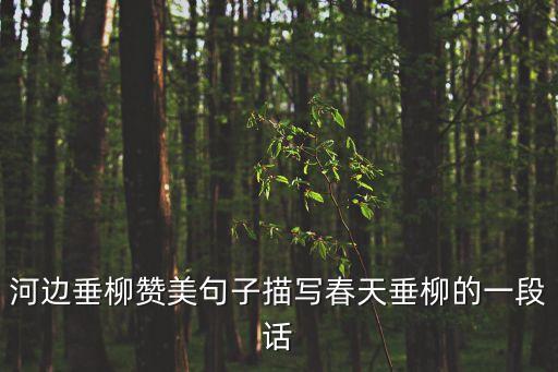 杨柳树舞蹈,我的杨柳腰舞蹈视频