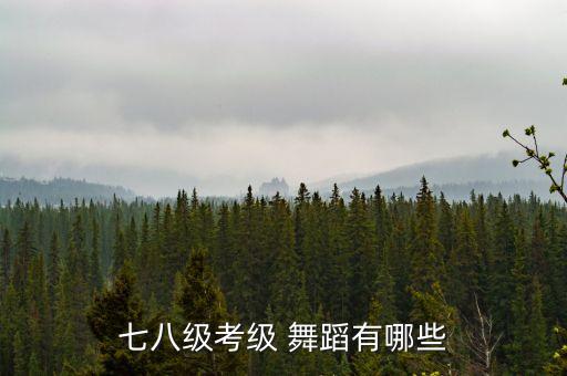 中国七级舞蹈教学视频,中国北京舞蹈七级