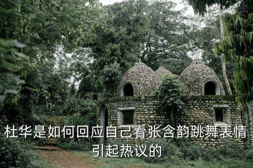 无价之姐舞蹈爵士舞