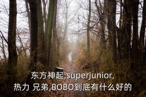 好兄弟的舞蹈视频,同心的好兄弟舞蹈
