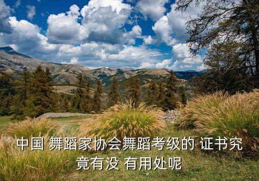 舞蹈家教师证书有用吗,中国舞蹈家协会教师证书怎么查