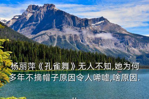 杨丽萍没有学过舞蹈,雀之灵杨丽萍舞蹈视频