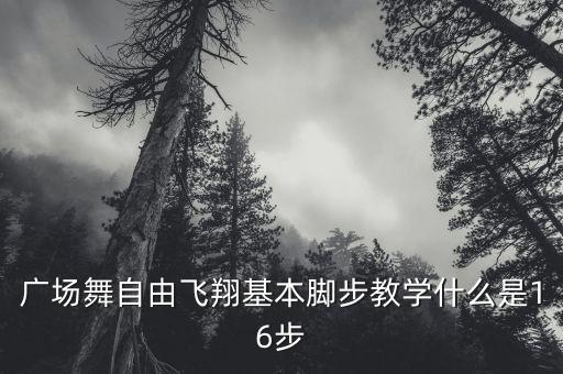 十六步简单一点的舞蹈视频