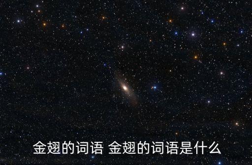 金翅开场舞蹈视频,东方斯卡拉金翅舞蹈视频
