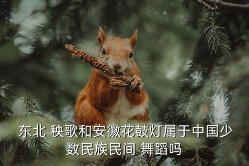 东北秧歌是哪里的舞蹈