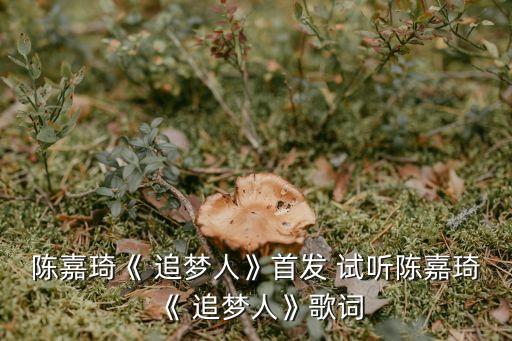 追梦儿童舞蹈歌曲试听,追梦路上儿童舞蹈