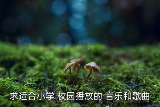 校园之花舞蹈背景音乐,星期三的舞蹈背景音乐是什么