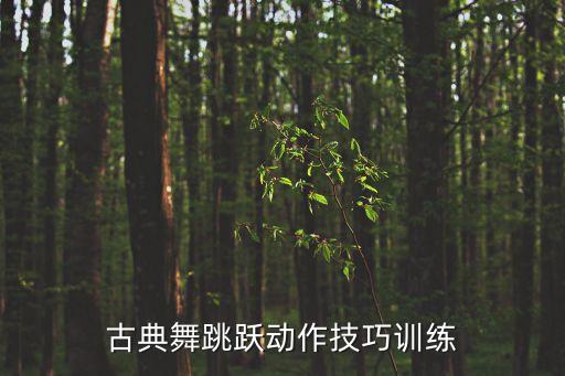 舞蹈中大跳,中大童舞蹈