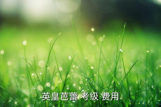 中国舞蹈考级一级费用,少儿中国舞蹈考级一级