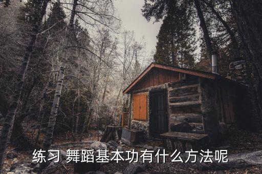 舞蹈技巧双飞燕怎么练,舞蹈双飞燕是几级技巧