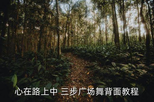 三步的舞蹈,三步舞蹈我们的生活充满阳光