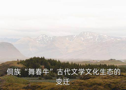 湖南省舞蹈考级侗族舞