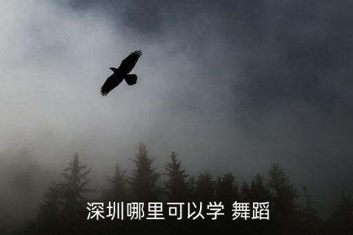 深圳年会舞蹈培训班,深圳开舞蹈培训班需要什么手续