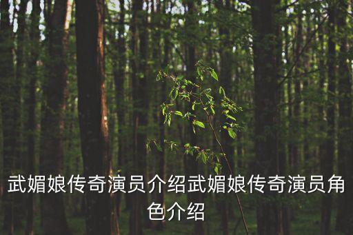 舞媚娘舞蹈情哥哥,南宁舞媚娘舞蹈培训机构