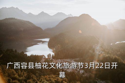 花开盛世舞蹈音乐mp3,盛世花开舞蹈分解动作