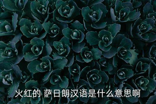 红红的萨日朗舞蹈男版,舞蹈红红的萨日朗 视频教学