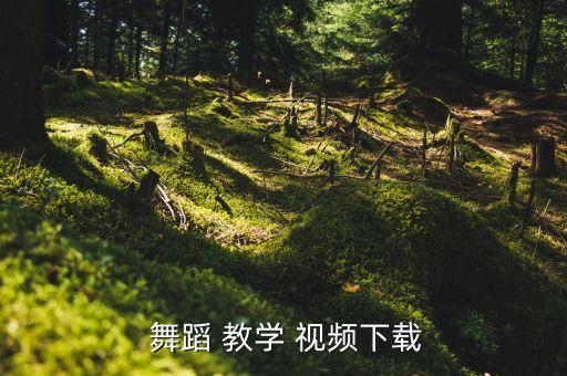 少儿快舞蹈教学视频教程,少儿舞蹈礼仪之邦视频教程