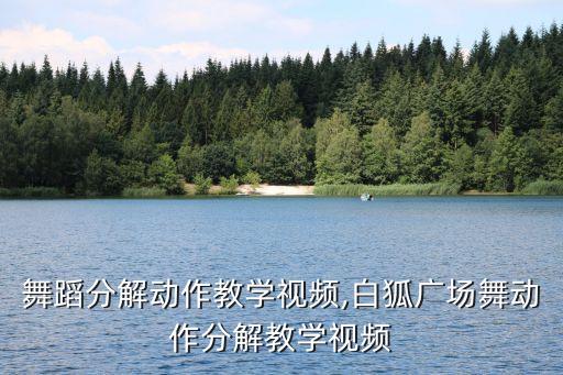 白狐舞蹈分解动作教学视频,白狐广场舞动作分解教学视频
