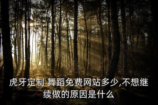 海南舞蹈网,海南窦丽丽舞蹈